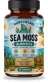 Happy Fin Labs Sea Moss Gummies