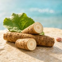 Burdock Root
